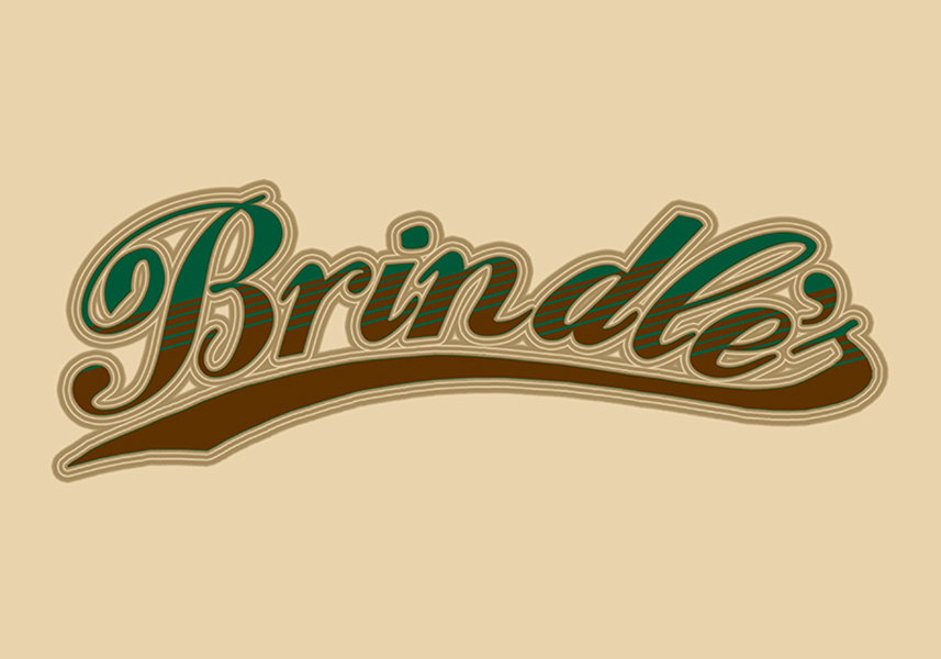 Brindles Logo Design